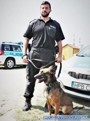 Policjant w mundurze z psem służbowym w tle oznakowane radiowozy